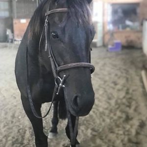 Meet your Posher, Carly